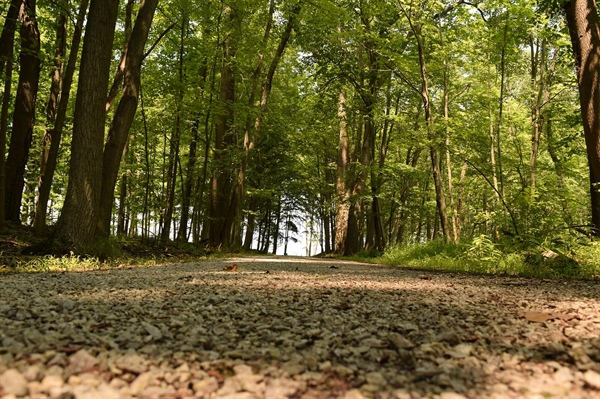 Woodland Property Tax Discussion and Resources