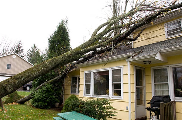 Storm Damage Property Tax Relief
