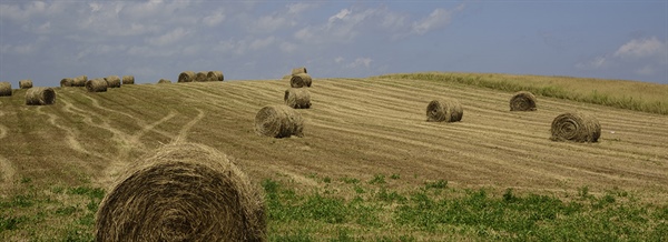 Agricultural Districts Information