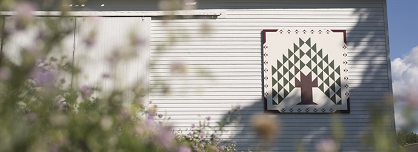 Auditor David Thomas Announces Reappraisal Commencement